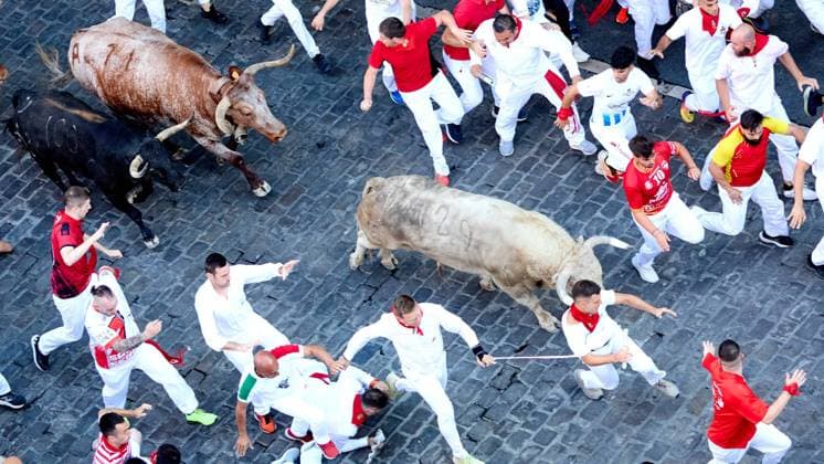 IPA86463743 - Pamplona, Navarre. July 7, 2026. Festivities. San Fermin. Bull Run. The first bull run of the 2026 San Fermin festival, featuring bulls from Fuente Ymbro, took place at the end of Estafeta Street and the Telefónica section in Pamplona on July 7, 2026. First bull run of San Fermin 2026 with bulls from Fuente Ymbro at the end of Estafeta Street and the Telefónica section in Pamplona on July 7, 2026. Inigo Alzugaray Cordon Press Cordon Press  Copyright: x CordonxPress LiveMediax xx 86463743