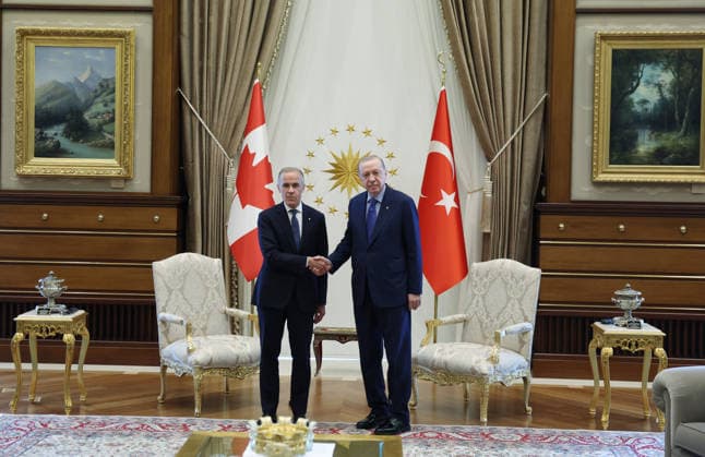 Recep Tayyip Erdogan - Mark Carney meeting in Ankara ANKARA, TURKIYE - JULY 7: (----EDITORIAL USE ONLY MANDATORY CREDIT - TURKISH PRESIDENCY MURAT KULA HANDOUT - NO MARKETING NO ADVERTISING CAMPAIGNS - DISTRIBUTED AS A SERVICE TO CLIENTS----) Turkish President Recep Tayyip Erdogan welcomes Canadian Prime Minister Mark Carney at the Presidential Complex, on July 7, 2026, in Ankara, Turkiye. TUR Presidency Murat Kula Anadolu Ankara Turkey. Editorial use only. Please get in touch for any other usage.  Copyright: x2026xAnadoluxTURxPresidency xMuratxKulax