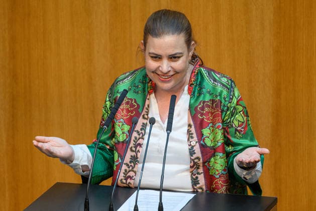 - Wien 7.7.2026 - 87. Sitzung des Nationalrats. TO: Alternative Investmentfonds Manager-Gesetz. PHOTO: Abg. Nina Tomaselli (Grüne) 87th sitting of the National Council. Nationalrat, Nationalratssitzung, Parlamentssitzung, Parlament, Plenum 87. Sitzung des Nationalrats *** Vienna, July 7, 2026—87th Session of the National Council: Agenda Item—Alternative Investment Fund Managers Act. PHOTO: Rep. Nina Tomaselli, Greens. 87th Session of the National Council; National Council, National Council session, parliamentary session, parliament, plenary session; 87th Session of the National Council 