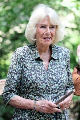 Queen Camilla Commemorates 100 Years Of Winnie The Pooh HARTFIELD, ENGLAND - JULY 07: Queen Camilla plays a game of ˜pooh sticks™ on ˜Poohsticks Bridge™ during her visit to Ashdown Forest to commemorate 100 Years of Winnie-the-Pooh at Ashdown Forest on July 07, 2026 in Hartfield, England. Ashdown Forest was the inspiration for the Hundred Acre Wood in A.A. Milne s classic Winnie-the-Pooh children s books. The Queen visited the forest in her role as patron of the Royal Literary Fund., Credit:Chris Jackson PA ROTA - B68 Avalon United Kingdom, England, Hartfield, Ashdown Forest  Copyright: xChrisxJacksonx xPAxROTAx-xB68x xAvalonx 1115013538