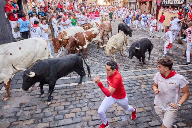 July 7, 2026, Pamplona, Navarre, Spain: People take part in the traditional encierro (bull-run) of the San Fermin Festival in Pamplona, Spain. The bull-running fiesta is held annually from 06 to 14 July in commemoration of the city s patron saint. Visitors from all over the world attend the festival. Many of them physically participate in the highlight event - the running of the bulls, or encierro - where they attempt to outrun the animals along a route through the narrow streets of Pamplona s old city. Pamplona Spain  - ZUMAa206 20260707_zsp_a206_025 Copyright: xRubenxAlbarranx
