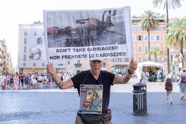 IPA86476498 - An activist holds up a sign protesting the Botticelle for tourists in Rome s Piazza di Spagna  Copyright: xMatteoxNardonex xx 86476498