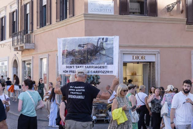 IPA86476513 - An activist holds up a sign protesting the Botticelle for tourists in Rome s Piazza di Spagna  Copyright: xMatteoxNardonex xx 86476513