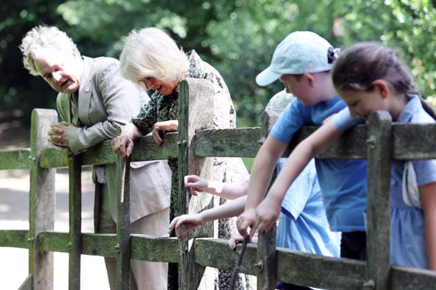 Queen Camilla visits Ashdown Forest Queen Camilla visits Ashdown Forest to commemorate 100 Years of Winnie-the-Pooh, in Ashdown Forest, Hartfield, East Sussex, UK, on the 7th July 2026. Picture by Chris Jackson WPA-Pool Hartfield Ashdown Forest East Sussex United Kingdom  WHA-0830