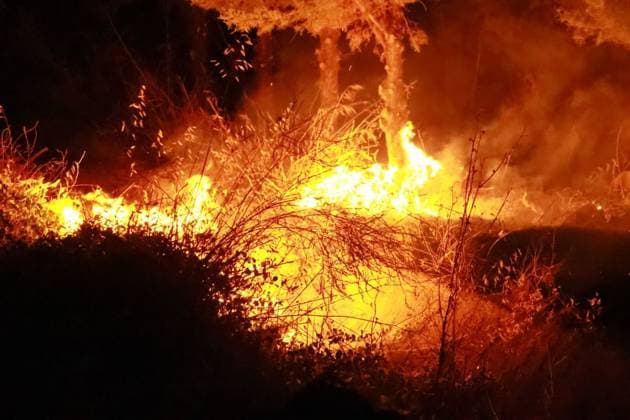 Grass Fire Near Homes Quickly Contained in Izmir IZMIR, TURKEY JULY 2026: Firefighters respond to a grass fire that broke out on elevated ground in the Ä°mariye neighborhood of Konak district in Izmir, Turkey, on the evening of July 2026. The blaze erupted at approximately 8:30 p.m. in an area located close to residential buildings, prompting concern among local residents who alerted emergency services. The fire spread from the hilltop toward a nearby road intersection before firefighters brought the situation under control. An employee of the Izmir Metropolitan Municipality also assisted efforts to extinguish the flames using available equipment. No injuries or damage to nearby homes were immediately reported. Ä°zmir Türkiye Copyright: x xTurgayxKÄ±lÄ±cx xJNAxPressx