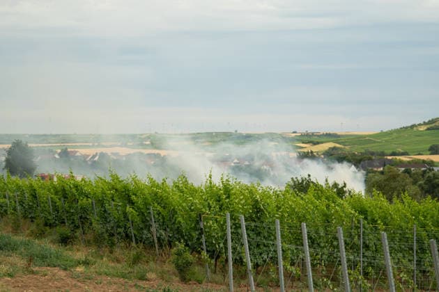 Flächenbrand zwischen Großwinternheim und Schwabenheim Am Dienstagnachmittag, dem 07.07.2026, kam es gegen 16:35 Uhr zwischen Ingelheim-Großwinternheim und Schwabenheim an der Selz (Landkreis Mainz-Bingen, Rheinland-Pfalz) zu einem größeren Flächenbrand. Aufgrund des herrschenden Windes breitete sich das Feuer rasch auf eine Fläche von rund zwei Hektar aus. Mehr als 80 Einsatzkräfte der Feuerwehren aus der Verbandsgemeinde Gau-Algesheim, der Stadt Ingelheim sowie der Werkfeuerwehr Boehringer, des Rettungsdienstes und der Polizei waren mit über 20 Einsatzfahrzeugen im Einsatz. Unterstützt wurden die Löscharbeiten durch landwirtschaftliche Fahrzeuge, die unter anderem die Wasserversorgung sicherstellten. Die L428 musste während de