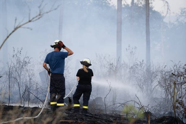 Waldbrand breitet sich aus rund 10000 Quadratmeter betroffen Am 07.07.2026 kam es gegen 18:35 Uhr in Weilrod Hasselbach zu einem Waldbrand, der nach ersten Meldungen rund 10.000 Quadratmeter Wald erfasst hat. Die Rauchentwicklung ist weithin sichtbar, auch aus dem benachbarten Grävenwiesbach werden Meldungen zu dem Brand gemeldet. Die Feuerwehr Weilrod ist im Einsatz und hat wasserführende Fahrzeuge sowie weitere überörtliche Löschzüge angefordert. Stark auflebender Wind erschwert die Löscharbeiten. Über die Warnapp NINA wurde für die betroffenen Gebiete eine Warnung der Warnstufe Gefahr ausgegeben. Weilrod Hessen Deutschland *** Forest Fire Spreads; About 10,000 Square Meters Affected On July 7, 2026, at approximately 6:35 p.