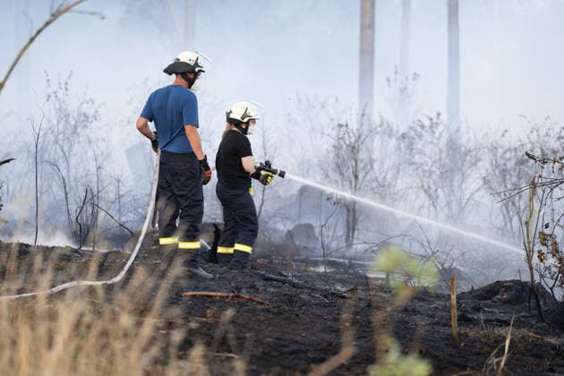Waldbrand breitet sich aus rund 10000 Quadratmeter betroffen Am 07.07.2026 kam es gegen 18:35 Uhr in Weilrod Hasselbach zu einem Waldbrand, der nach ersten Meldungen rund 10.000 Quadratmeter Wald erfasst hat. Die Rauchentwicklung ist weithin sichtbar, auch aus dem benachbarten Grävenwiesbach werden Meldungen zu dem Brand gemeldet. Die Feuerwehr Weilrod ist im Einsatz und hat wasserführende Fahrzeuge sowie weitere überörtliche Löschzüge angefordert. Stark auflebender Wind erschwert die Löscharbeiten. Über die Warnapp NINA wurde für die betroffenen Gebiete eine Warnung der Warnstufe Gefahr ausgegeben. Weilrod Hessen Deutschland *** Forest Fire Spreads; About 10,000 Square Meters Affected On July 7, 2026, at approximately 6:35 p.