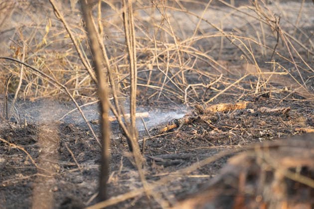 Waldbrand breitet sich aus rund 10000 Quadratmeter betroffen Am 07.07.2026 kam es gegen 18:35 Uhr in Weilrod Hasselbach zu einem Waldbrand, der nach ersten Meldungen rund 10.000 Quadratmeter Wald erfasst hat. Die Rauchentwicklung ist weithin sichtbar, auch aus dem benachbarten Grävenwiesbach werden Meldungen zu dem Brand gemeldet. Die Feuerwehr Weilrod ist im Einsatz und hat wasserführende Fahrzeuge sowie weitere überörtliche Löschzüge angefordert. Stark auflebender Wind erschwert die Löscharbeiten. Über die Warnapp NINA wurde für die betroffenen Gebiete eine Warnung der Warnstufe Gefahr ausgegeben. Weilrod Hessen Deutschland *** Forest Fire Spreads; About 10,000 Square Meters Affected On July 7, 2026, at approximately 6:35 p.
