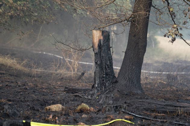 Waldbrand breitet sich aus rund 10000 Quadratmeter betroffen Am 07.07.2026 kam es gegen 18:35 Uhr in Weilrod Hasselbach zu einem Waldbrand, der nach ersten Meldungen rund 10.000 Quadratmeter Wald erfasst hat. Die Rauchentwicklung ist weithin sichtbar, auch aus dem benachbarten Grävenwiesbach werden Meldungen zu dem Brand gemeldet. Die Feuerwehr Weilrod ist im Einsatz und hat wasserführende Fahrzeuge sowie weitere überörtliche Löschzüge angefordert. Stark auflebender Wind erschwert die Löscharbeiten. Über die Warnapp NINA wurde für die betroffenen Gebiete eine Warnung der Warnstufe Gefahr ausgegeben. Weilrod Hessen Deutschland *** Forest Fire Spreads; About 10,000 Square Meters Affected On July 7, 2026, at approximately 6:35 p.