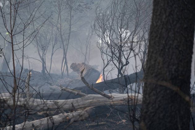 Waldbrand breitet sich aus rund 10000 Quadratmeter betroffen Am 07.07.2026 kam es gegen 18:35 Uhr in Weilrod Hasselbach zu einem Waldbrand, der nach ersten Meldungen rund 10.000 Quadratmeter Wald erfasst hat. Die Rauchentwicklung ist weithin sichtbar, auch aus dem benachbarten Grävenwiesbach werden Meldungen zu dem Brand gemeldet. Die Feuerwehr Weilrod ist im Einsatz und hat wasserführende Fahrzeuge sowie weitere überörtliche Löschzüge angefordert. Stark auflebender Wind erschwert die Löscharbeiten. Über die Warnapp NINA wurde für die betroffenen Gebiete eine Warnung der Warnstufe Gefahr ausgegeben. Weilrod Hessen Deutschland *** Forest Fire Spreads; About 10,000 Square Meters Affected On July 7, 2026, at approximately 6:35 p.
