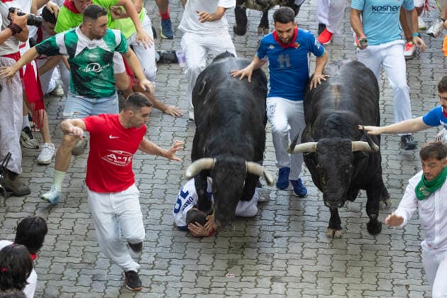 The second running-of-the-bulls in Pamplona, northern Spain on Wednesday morning, July 8, 2026 shows several fighting bulls, or toros bravos , from the ranch of Cebada Gago as they stampede near the bullring at the end of the course through the Old City street. Several runners touch the bull s side as they sprint into the bullring.  PAM2026070804 JimxHollander