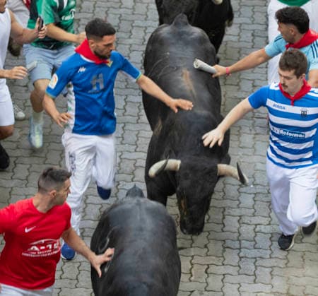 The second running-of-the-bulls in Pamplona, northern Spain on Wednesday morning, July 8, 2026 shows several fighting bulls, or toros bravos , from the ranch of Cebada Gago as they stampede near the bullring at the end of the course through the Old City street. Several runners touch the bull s side as they sprint into the bullring.  PAM2026070805 JimxHollander