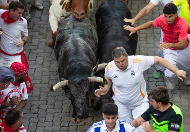 The second running-of-the-bulls in Pamplona, northern Spain on Wednesday morning, July 8, 2026 shows several fighting bulls, or toros bravos , from the ranch of Cebada Gago as they stampede near the bullring at the end of the course through the Old City street. Several runners touch the bull s side as they sprint into the bullring.  PAM2026070806 JimxHollander