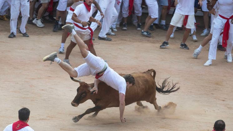 A wild cow is let out into the bullrings and throws a reveler who tries his luck getting close to the running animal after the second running-of-the-bulls in Pamplona, northern Spain on Wednesday morning, July 8, 2026.  PAM2026070807 JimxHollander