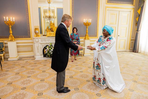 08-07-2026 Palace King Willem-Alexander during a meeting with the Ambassador of the Republic of Guinea, Her Excellency A.N. Conte at palace Noordeinde in The Hague. Â  Copyright: xPPEx