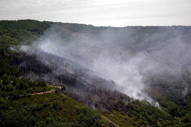 Wildfire burns pine forest in Spain’s Leon LEON, SPAIN - JULY 08: A view of a fire-damaged pine forest following a wildfire that broke out the previous day in Espina de Tremor, reached level 1 on the Potential Severity Index (IGR-1) and threatened more than 30 hectares of woodland in Leon, Spain, on July 8, 2026. Samuel de Roman Anadolu Leon Spain. Editorial use only. Please get in touch for any other usage.  Copyright: x2026xAnadoluxSamuelxdexRomanx