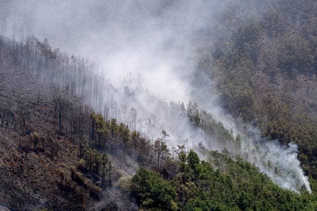 Wildfire burns pine forest in Spain’s Leon LEON, SPAIN - JULY 08: A view of a fire-damaged pine forest following a wildfire that broke out the previous day in Espina de Tremor, reached level 1 on the Potential Severity Index (IGR-1) and threatened more than 30 hectares of woodland in Leon, Spain, on July 8, 2026. Samuel de Roman Anadolu Leon Spain. Editorial use only. Please get in touch for any other usage.  Copyright: x2026xAnadoluxSamuelxdexRomanx