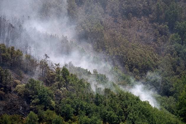 Wildfire burns pine forest in Spain’s Leon LEON, SPAIN - JULY 08: A view of a fire-damaged pine forest following a wildfire that broke out the previous day in Espina de Tremor, reached level 1 on the Potential Severity Index (IGR-1) and threatened more than 30 hectares of woodland in Leon, Spain, on July 8, 2026. Samuel de Roman Anadolu Leon Spain. Editorial use only. Please get in touch for any other usage.  Copyright: x2026xAnadoluxSamuelxdexRomanx