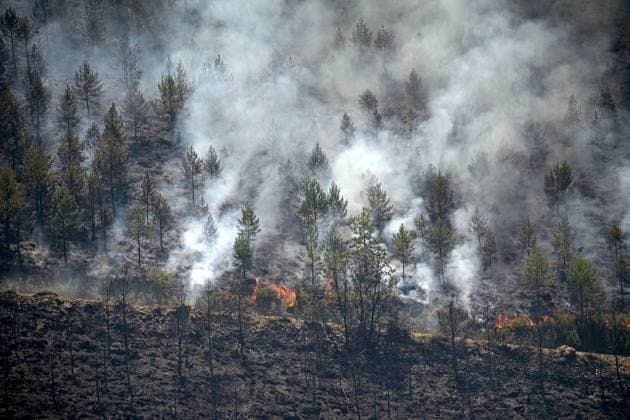 Wildfire burns pine forest in Spain’s Leon LEON, SPAIN - JULY 08: Flames and smoke rise from a wildfire that broke out the previous day in Espina de Tremor, reached level 1 on the Potential Severity Index (IGR-1) and threatened more than 30 hectares of pine forest in Leon, Spain, on July 8, 2026. Samuel de Roman Anadolu Leon Spain. Editorial use only. Please get in touch for any other usage.  Copyright: x2026xAnadoluxSamuelxdexRomanx