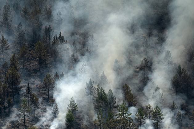 Wildfire burns pine forest in Spain’s Leon LEON, SPAIN - JULY 08: Flames and smoke rise from a wildfire that broke out the previous day in Espina de Tremor, reached level 1 on the Potential Severity Index (IGR-1) and threatened more than 30 hectares of pine forest in Leon, Spain, on July 8, 2026. Samuel de Roman Anadolu Leon Spain. Editorial use only. Please get in touch for any other usage.  Copyright: x2026xAnadoluxSamuelxdexRomanx