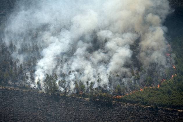 Wildfire burns pine forest in Spain’s Leon LEON, SPAIN - JULY 08: Flames and smoke rise from a wildfire that broke out the previous day in Espina de Tremor, reached level 1 on the Potential Severity Index (IGR-1) and threatened more than 30 hectares of pine forest in Leon, Spain, on July 8, 2026. Samuel de Roman Anadolu Leon Spain. Editorial use only. Please get in touch for any other usage.  Copyright: x2026xAnadoluxSamuelxdexRomanx
