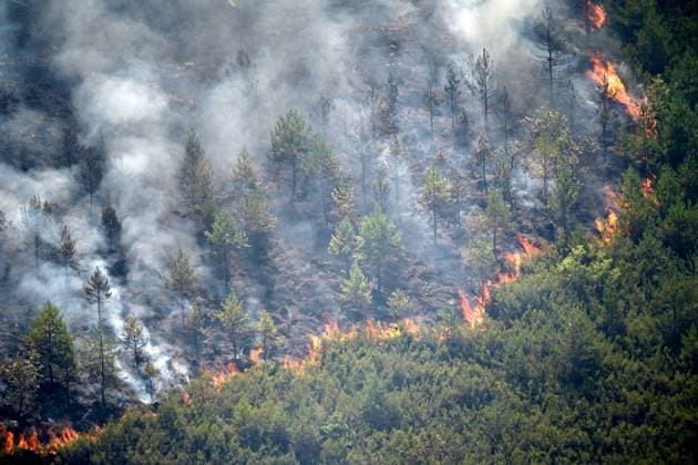 Wildfire burns pine forest in Spain’s Leon LEON, SPAIN - JULY 08: Flames and smoke rise from a wildfire that broke out the previous day in Espina de Tremor, reached level 1 on the Potential Severity Index (IGR-1) and threatened more than 30 hectares of pine forest in Leon, Spain, on July 8, 2026. Samuel de Roman Anadolu Leon Spain. Editorial use only. Please get in touch for any other usage.  Copyright: x2026xAnadoluxSamuelxdexRomanx