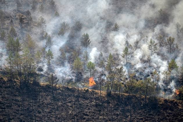 Wildfire burns pine forest in Spain’s Leon LEON, SPAIN - JULY 08: Flames and smoke rise from a wildfire that broke out the previous day in Espina de Tremor, reached level 1 on the Potential Severity Index (IGR-1) and threatened more than 30 hectares of pine forest in Leon, Spain, on July 8, 2026. Samuel de Roman Anadolu Leon Spain. Editorial use only. Please get in touch for any other usage.  Copyright: x2026xAnadoluxSamuelxdexRomanx