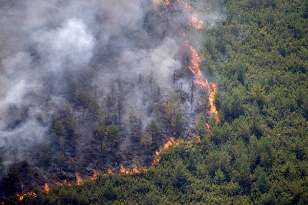 Wildfire burns pine forest in Spain’s Leon LEON, SPAIN - JULY 08: Flames and smoke rise from a wildfire that broke out the previous day in Espina de Tremor, reached level 1 on the Potential Severity Index (IGR-1) and threatened more than 30 hectares of pine forest in Leon, Spain, on July 8, 2026. Samuel de Roman Anadolu Leon Spain. Editorial use only. Please get in touch for any other usage.  Copyright: x2026xAnadoluxSamuelxdexRomanx