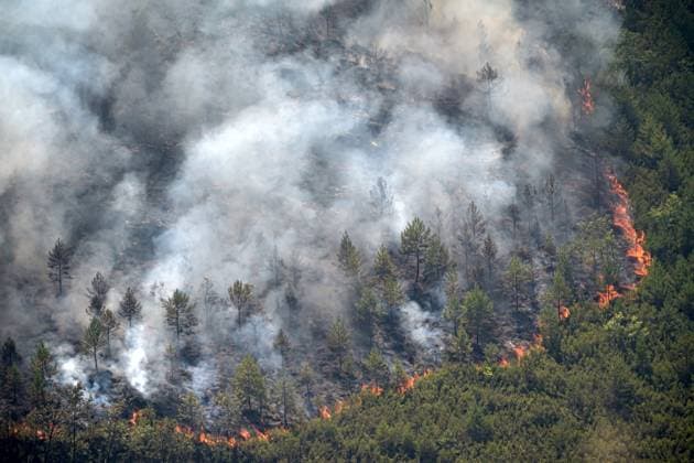 Wildfire burns pine forest in Spain’s Leon LEON, SPAIN - JULY 08: Flames and smoke rise from a wildfire that broke out the previous day in Espina de Tremor, reached level 1 on the Potential Severity Index (IGR-1) and threatened more than 30 hectares of pine forest in Leon, Spain, on July 8, 2026. Samuel de Roman Anadolu Leon Spain. Editorial use only. Please get in touch for any other usage.  Copyright: x2026xAnadoluxSamuelxdexRomanx