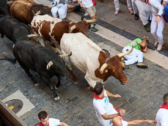 Third bull run of the 2026 San Fermín Festival, featuring bulls from the Victoriano del Río ranch; the third bull run of the 2026 San Fermín Festival took place on July 9, 2026, in Pamplona, Navarre, Spain. On this occasion, the third running of the San Fermín festival featured bulls from the Victoriano del Río ranch, Spain  Copyright: xEduardoxSanzx 7654895