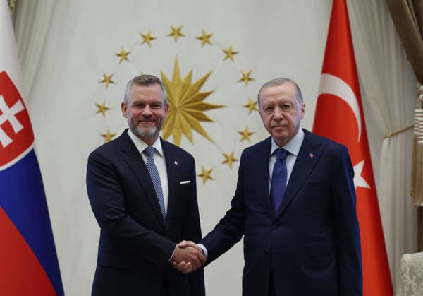 Turkish President Recep Tayyip Erdogan ANKARA, TURKIYE - JULY 9: (----EDITORIAL USE ONLY - MANDATORY CREDIT - TURKISH PRESIDENCY MURAT KULA HANDOUT - NO MARKETING NO ADVERTISING CAMPAIGNS - DISTRIBUTED AS A SERVICE TO CLIENTS----) Turkish President Recep Tayyip Erdogan meets with Slovakian President Peter Pellegrini at the Presidential Complex in Ankara, Turkiye, on July 9, 2026. Tur Presidency Murat Kula Anadolu Ankara Turkey. Editorial use only. Please get in touch for any other usage.  Copyright: x2026xAnadoluxTurxPresidencyx xMuratxKulax