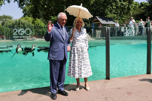 July 9, 2026, London, London, UK: London, UK. King Charles III and Queen Camilla wave to the crowd after observing laser training exercises with Humboldt penguins at Penguin Beach during their visit to London Zoo to mark the 200th anniversary of the Zoological Society of London. London UK  - ZUMAl94_ 20260709_zaf_l94_004 Copyright: xDinendraxHariax