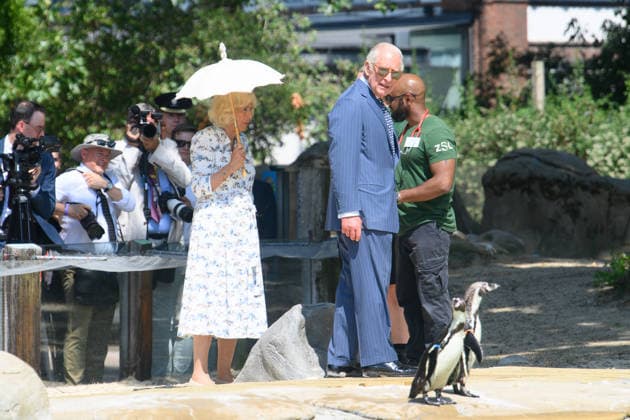 King Charles III and Queen Camilla Visit ZSL London Zoo to Mark 200 Years of ZSL - ZSL London Zoo, London, UK - Thursday 9 July 2026 King Charles III and Queen Camilla make a visit to Penguin Beach at ZSL London Zoo, London, England, UK on Thursday 9 July, 2026 to celebrate 200 years of Zoological Society of London (ZSL)., Credit:Justin Ng Avalon UK, England, London, ZSL London Zoo  Copyright: xJustinxNgx xAvalonx 1115477431