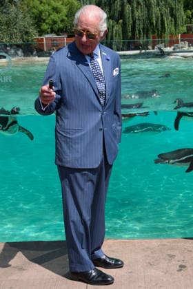 King Charles III and Queen Camilla Visit ZSL London Zoo to Mark 200 Years of ZSL - ZSL London Zoo, London, UK - Thursday 9 July 2026 King Charles III and Queen Camilla make a visit to Penguin Beach at ZSL London Zoo, London, England, UK on Thursday 9 July, 2026 to celebrate 200 years of Zoological Society of London (ZSL)., Credit:Justin Ng Avalon UK, England, London, ZSL London Zoo  Copyright: xJustinxNgx xAvalonx 1115477467