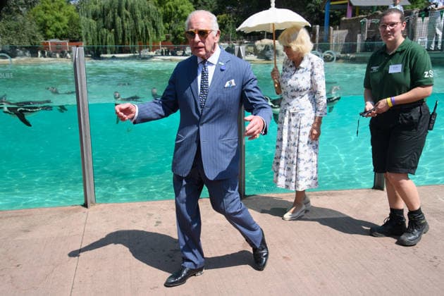 King Charles III and Queen Camilla Visit ZSL London Zoo to Mark 200 Years of ZSL - ZSL London Zoo, London, UK - Thursday 9 July 2026 King Charles III and Queen Camilla make a visit to Penguin Beach at ZSL London Zoo, London, England, UK on Thursday 9 July, 2026 to celebrate 200 years of Zoological Society of London (ZSL)., Credit:Justin Ng Avalon UK, England, London, ZSL London Zoo  Copyright: xJustinxNgx xAvalonx 1115477487