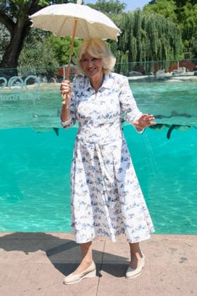 King Charles III and Queen Camilla Visit ZSL London Zoo to Mark 200 Years of ZSL - ZSL London Zoo, London, UK - Thursday 9 July 2026 King Charles III and Queen Camilla make a visit to Penguin Beach at ZSL London Zoo, London, England, UK on Thursday 9 July, 2026 to celebrate 200 years of Zoological Society of London (ZSL)., Credit:Justin Ng Avalon UK, England, London, ZSL London Zoo  Copyright: xJustinxNgx xAvalonx 1115477514