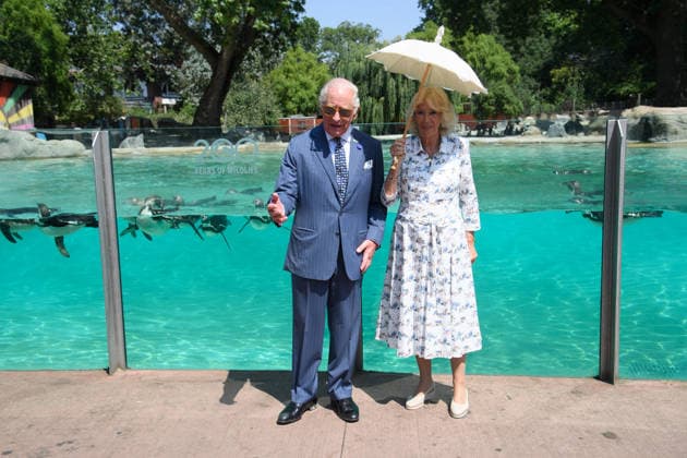 King Charles III and Queen Camilla Visit ZSL London Zoo to Mark 200 Years of ZSL - ZSL London Zoo, London, UK - Thursday 9 July 2026 King Charles III and Queen Camilla make a visit to Penguin Beach at ZSL London Zoo, London, England, UK on Thursday 9 July, 2026 to celebrate 200 years of Zoological Society of London (ZSL)., Credit:Justin Ng Avalon UK, England, London, ZSL London Zoo  Copyright: xJustinxNgx xAvalonx 1115477491