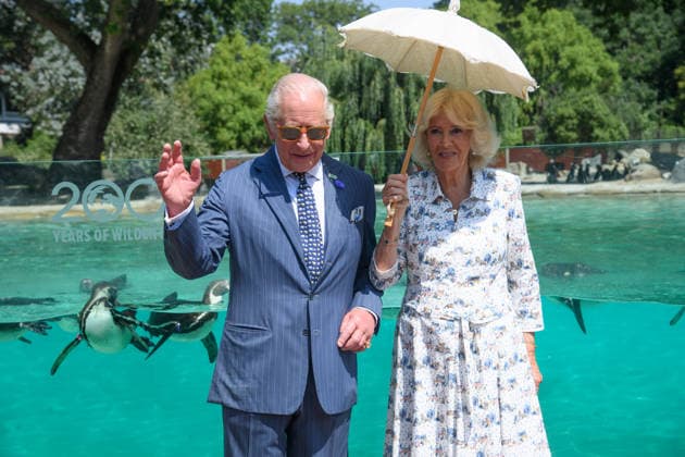 King Charles III and Queen Camilla Visit ZSL London Zoo to Mark 200 Years of ZSL - ZSL London Zoo, London, UK - Thursday 9 July 2026 King Charles III and Queen Camilla make a visit to Penguin Beach at ZSL London Zoo, London, England, UK on Thursday 9 July, 2026 to celebrate 200 years of Zoological Society of London (ZSL)., Credit:Justin Ng Avalon UK, England, London, ZSL London Zoo  Copyright: xJustinxNgx xAvalonx 1115477501