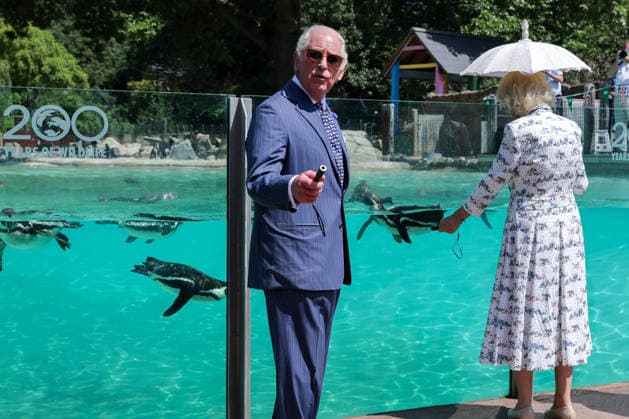 July 9, 2026, London, London, UK: London, UK. King Charles III jokes with the crowd while holding a laser pointer used to attract Humboldt penguins at Penguin Beach during a visit to London Zoo marking the 200th anniversary of the Zoological Society of London. London UK  - ZUMAl94_ 20260709_zaf_l94_013 Copyright: xDinendraxHariax
