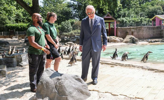 The King with staff and penguins at the Penguin beach at ZSL London Zoo which he The King with staff and penguins at the Penguin beach at ZSL London Zoo which he visited with The Queen to celebrate the Zoo™s 200th anniversary, Credit:Avalon.red PA ROTA - B68 Avalon  Copyright: xAvalon.redx xPAxROTAx-xB68x xAvalonx 1115489731