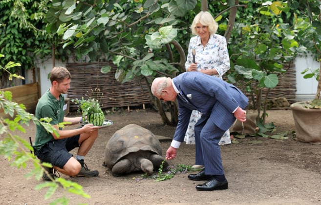 The King and Queen feed Polly a Galapagos Turtle aged 32 years old with staff The King and Queen feed Polly a Galapagos Turtle aged 32 years old with staff member Daniel Kane at ZSL London Zoo which they visited to celebrate the Zoo™s 200th anniversary, Credit:Avalon.red PA ROTA - B68 Avalon  Copyright: xAvalon.redx xPAxROTAx-xB68x xAvalonx 1115489859