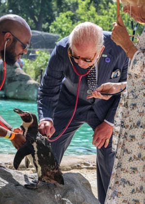. 09 07 2026. London, United Kingdom. King Charles III and Queen Camilla listen to the heart beat of a penguin during a visit to London Zoo, to mark the 200th anniversary of the Zoological Society of London  xPoolx xi-Imagesx IIM-26897-0024