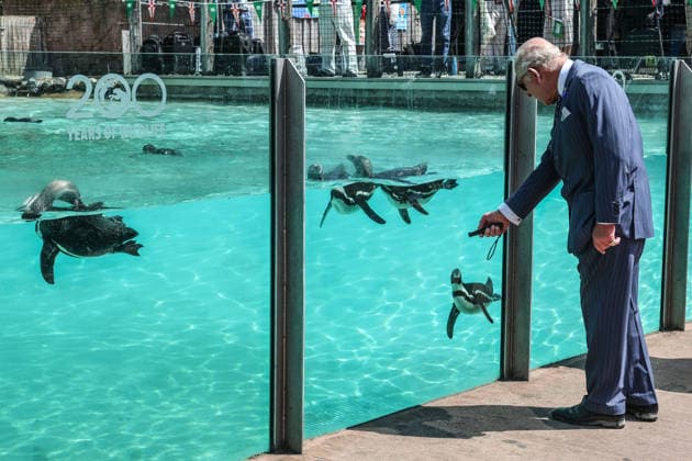 King Charles and Queen Camilla celebrate London Zoo™s 200th Anniversary King Charles and Queen Camilla visit ZSL London Zoo, to celebrate the Zoo™s 200th Anniversary, in London, UK, on the 9th July 2026. Picture by Richard Pohle WPA-Pool London ZSL London Zoo London United Kingdom  WHA-0830