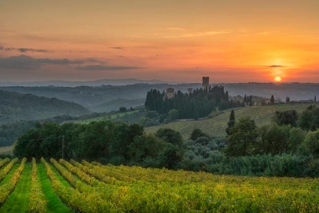 Sonnenuntergang über den Weinbergen des Chianti und der Abtei Badia a Passignano, Toskana Sunset view of autumn vineyards in the Chianti region with the historic abbey of Badia a Passignano surrounded by cypress trees, Tuscany, Italy (License=RF) Copyright: xZoonar.com StefanoxOrazzinix 25222627