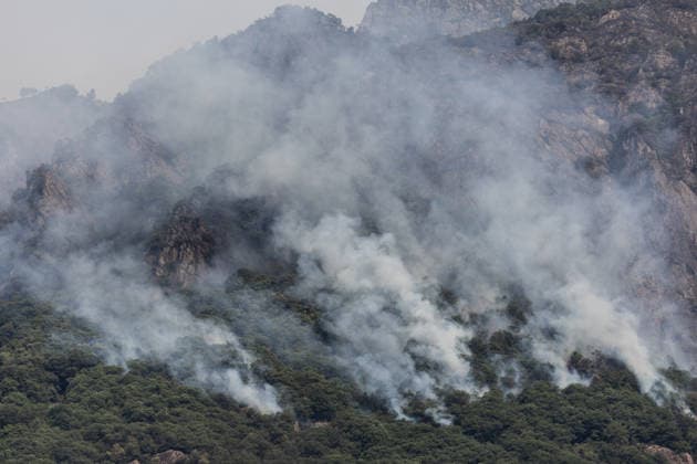 Wildfires rage for 10th day in northern Italy CRAVAGLIANA, ITALY - JULY 9: A wildfire burns through the mountains of Val Mastallone and Alta Valsesia, near Cravagliana, Piedmont, Italy on July 9, 2026. The blaze has been raging for ten days, destroying hundreds of hectares of land in the last 24 hours alone. Despite the deployment of Canadair firefighting aircraft, the fire remains out of control, fueled by strong winds, a prolonged lack of rainfall, and recent extremely high temperatures. Andrea Carrubba Anadolu Piedmont Italy. Editorial use only. Please get in touch for any other usage.  Copyright: x2026xAnadoluxAndreaxCarrubbax
