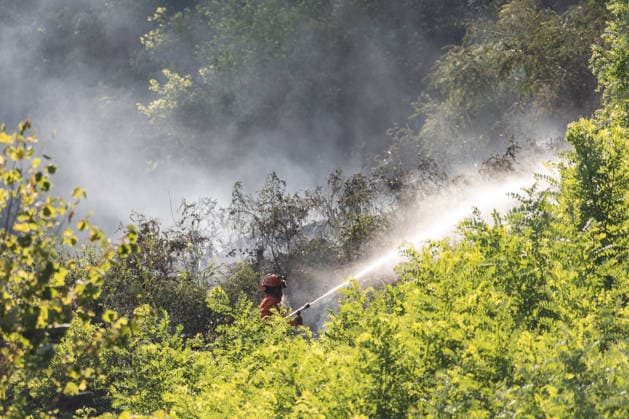 Wildfires rage for 10th day in northern Italy CRAVAGLIANA, ITALY - JULY 9: A volunteer from the forest firefighting unit battles the flames with a water hose during a massive wildfire in the mountains of Val Mastallone and Alta Valsesia, near Cravagliana, Piedmont, Italy on July 9, 2026. The blaze has been raging for ten days, destroying hundreds of hectares of land in the last 24 hours alone. Despite the deployment of Canadair firefighting aircraft, the fire remains out of control, fueled by strong winds, a prolonged lack of rainfall, and recent extremely high temperatures. Andrea Carrubba Anadolu Piedmont Italy. Editorial use only. Please get in touch for any other usage.  Copyright: x2026xAnadoluxAndreaxCarrubbax