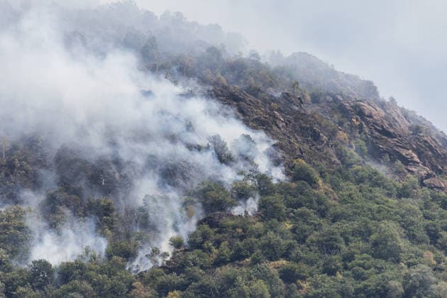 Wildfires rage for 10th day in northern Italy CRAVAGLIANA, ITALY - JULY 9: A wildfire burns through the mountains of Val Mastallone and Alta Valsesia, near Cravagliana, Piedmont, Italy on July 9, 2026. The blaze has been raging for ten days, destroying hundreds of hectares of land in the last 24 hours alone. Despite the deployment of Canadair firefighting aircraft, the fire remains out of control, fueled by strong winds, a prolonged lack of rainfall, and recent extremely high temperatures. Andrea Carrubba Anadolu Piedmont Italy. Editorial use only. Please get in touch for any other usage.  Copyright: x2026xAnadoluxAndreaxCarrubbax