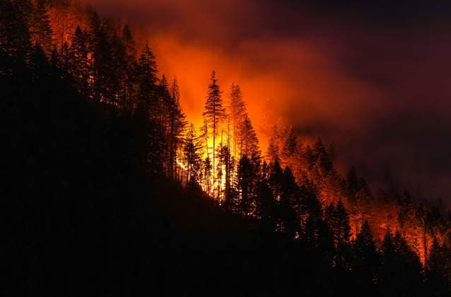 July 9, 2026, Boston Bar, Bc, CANADA: The Brunswick Creek wildfire consumes trees on a mountainside, in Boston Bar, B.C., on Thursday, July 9, 2026. Boston Bar CANADA  - ZUMAc35_ 20260709_zaf_c35_113 Copyright: xDarrylxDyckx
