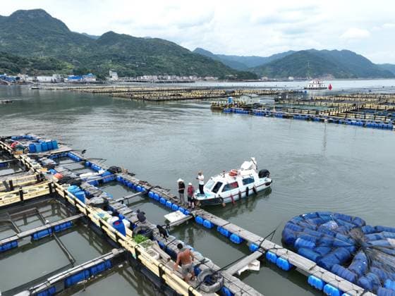 (260710) -- NINGDE, July 10, 2026 -- This drone photo taken on July 10, 2026 shows officials assisting aquaculture workers in evacuation in Ningde, southeast China s Fujian Province. China s Ministry of Emergency Management (MEM) on Friday activated a Level III geological disaster emergency response for the country s eastern provinces of Zhejiang and Fujian. According to the MEM, influenced by Typhoon Bavi, the ninth typhoon of 2026, southern Zhejiang and northeastern Fujian are expected to experience heavy to torrential rainfall from Friday to Monday, with some areas facing extremely heavy rainfall. ) CHINA-FUJIAN-NINGDE-TYPHOON BAVI-PREVENTION (CN) JiangxKehong 